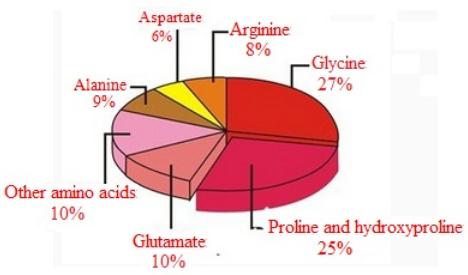 Utilisation et synthèse du collagène