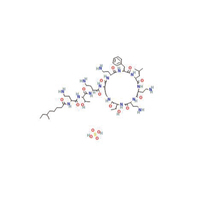 Sulfate de polymyxine B (1405-20-5)C56H100N16O17S