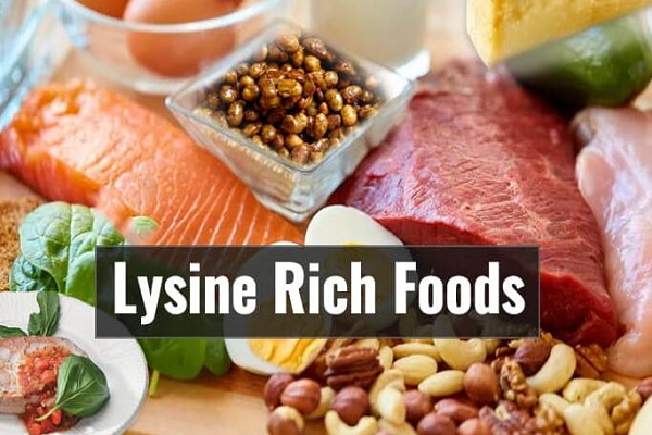 Quels aliments contiennent de la lysine?