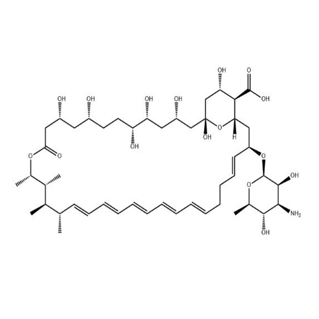 Amphotericine B (1397-89-3) C47H73NO17