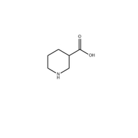 Acide nipécotique (498-95-3) C6H11NO2